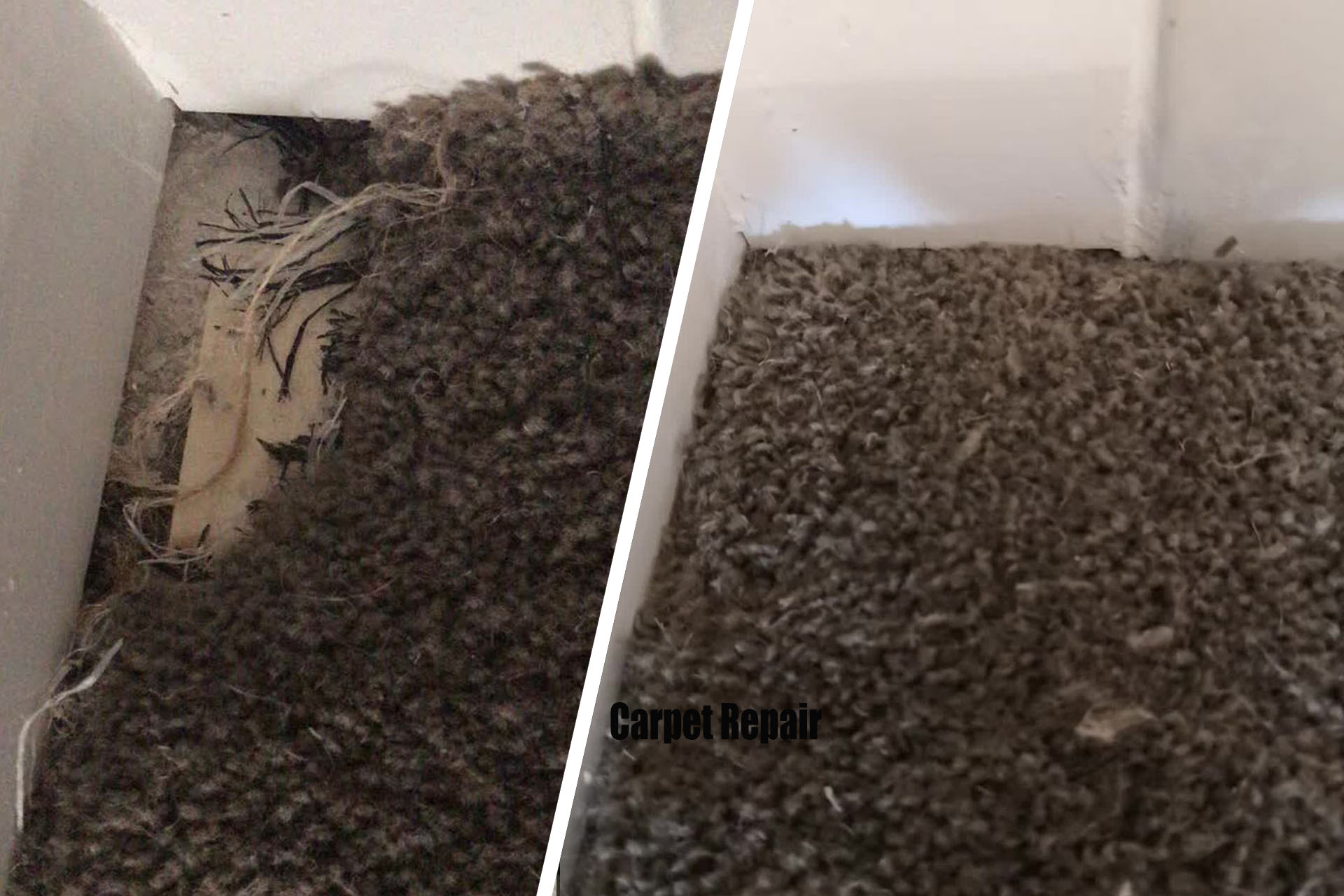 Revolutionising Sydney Carpet Repairs: The Master Art of Thread and Needle Restoration