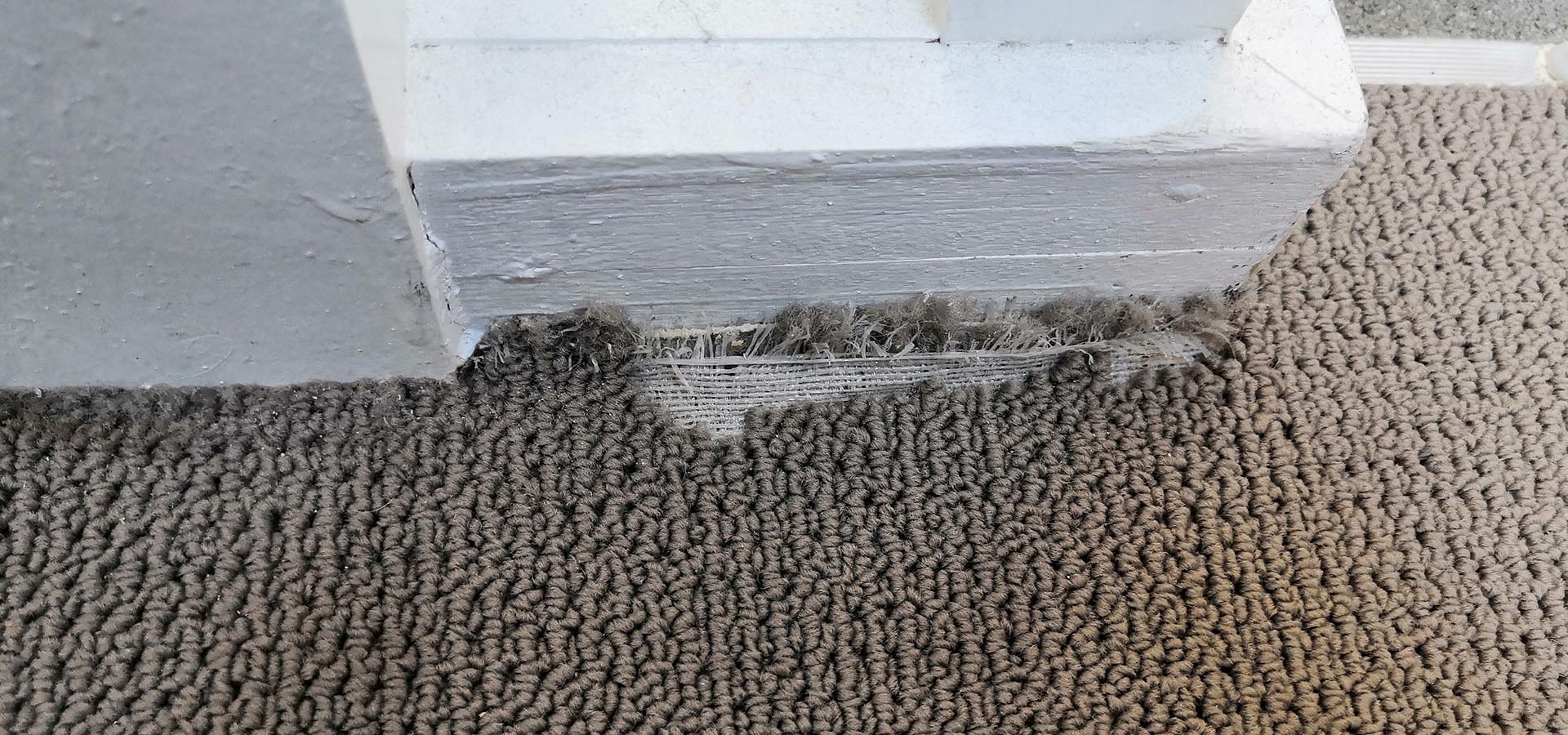 Save Time and Money<br>With Targeted Fixes